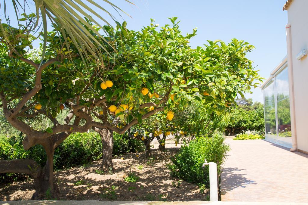 Casolare Nelle Saline Bed & Breakfast Torre Nubia Exterior photo