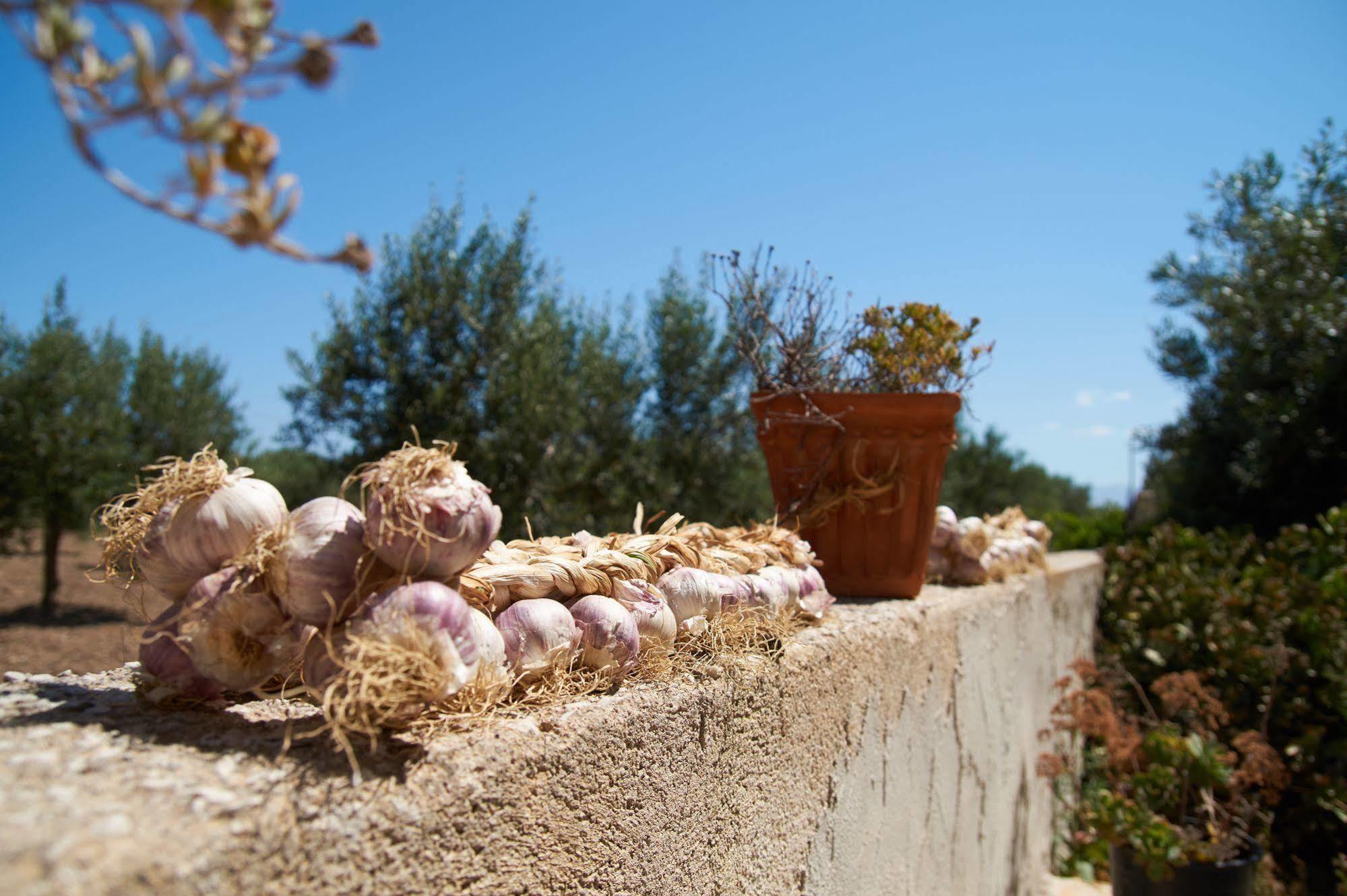 Casolare Nelle Saline Bed & Breakfast Torre Nubia Exterior photo